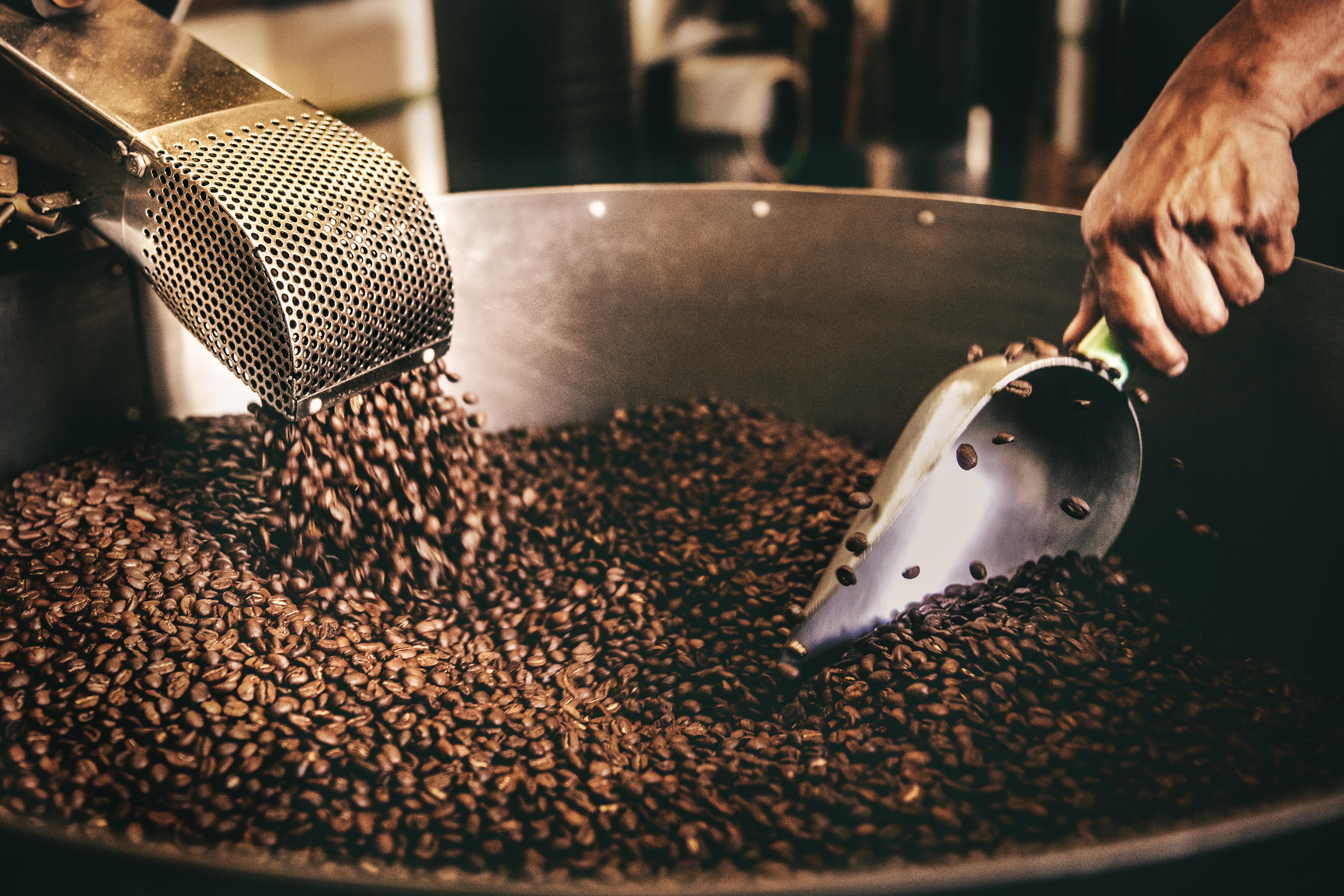 Coffee Beans, metal scoop, preparing for brew